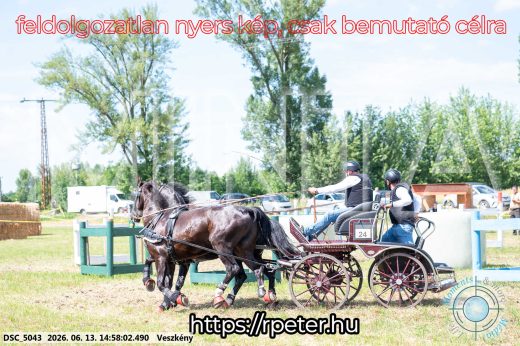 Mintakép 20260613-1389