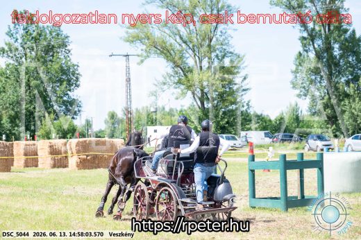 Mintakép 20260613-1390