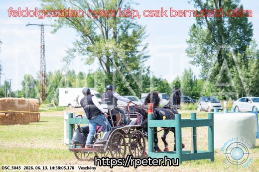 Mintakép 20260613-1391