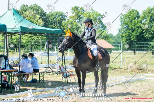 Mintakép 20260801-1606