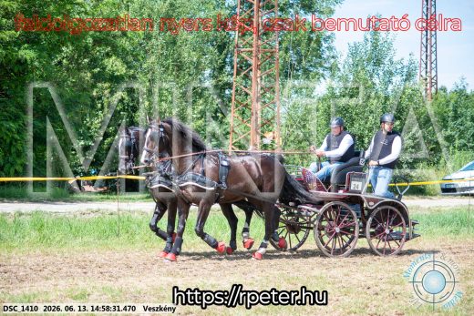 Mintakép 20260613-1392