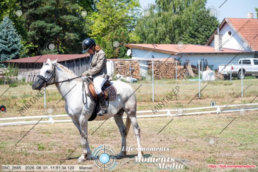 Mintakép 20260801-1662