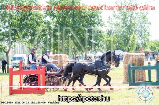 Mintakép 20260613-1402