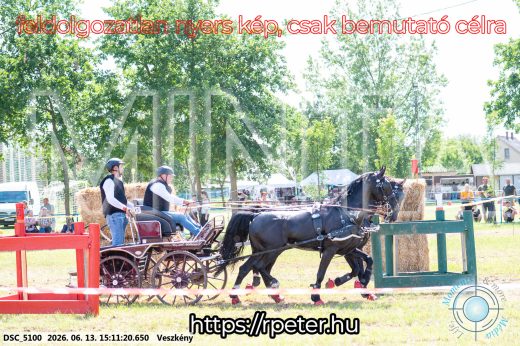 Mintakép 20260613-1403