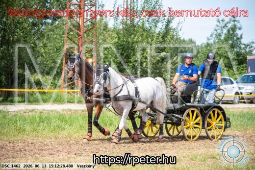 Mintakép 20260613-1407