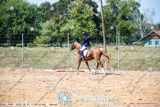 20260801-110433-DSC_1045.jpg