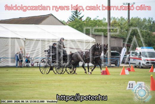 Mintakép 20260614-622