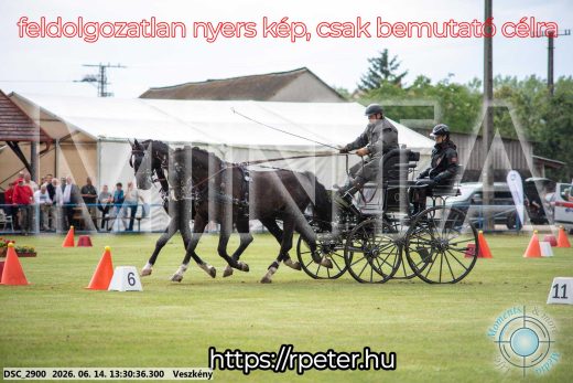 Mintakép 20260614-624