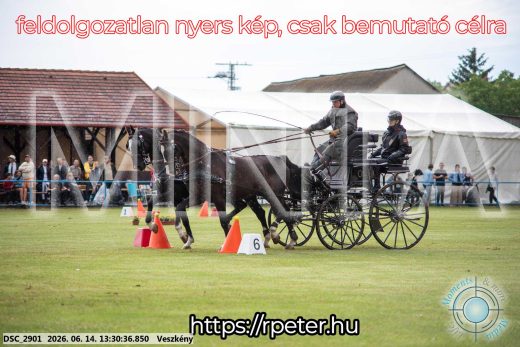 Mintakép 20260614-625