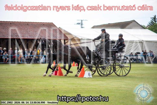 Mintakép 20260614-626