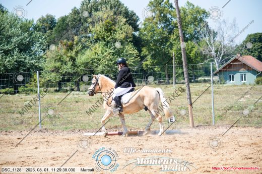 Mintakép 20260801-1874