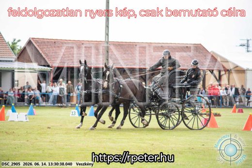 Mintakép 20260614-628