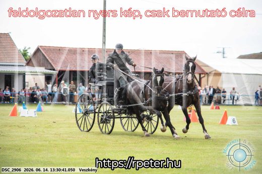 Mintakép 20260614-629