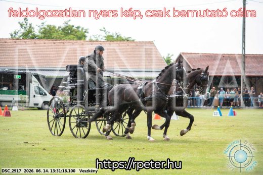 Mintakép 20260614-638