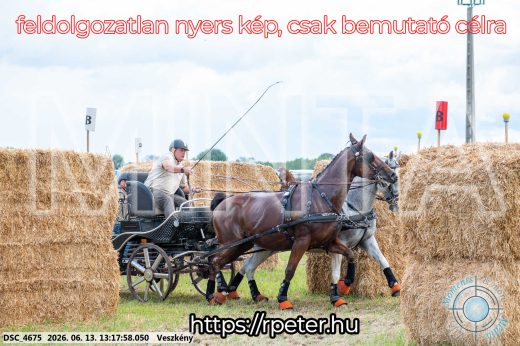 Mintakép 20260613-91