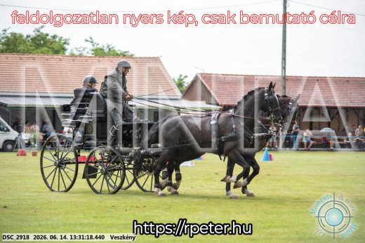 Mintakép 20260614-639