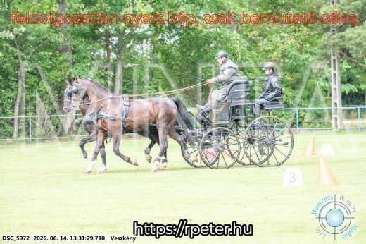 Mintakép 20260614-641
