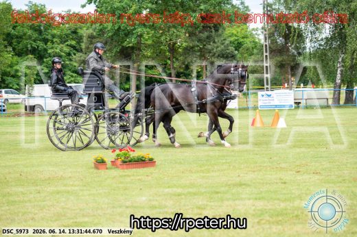 Mintakép 20260614-642