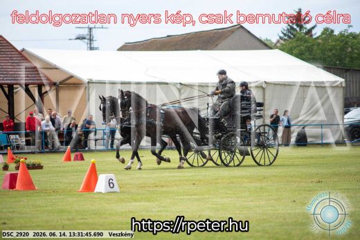 Mintakép 20260614-643