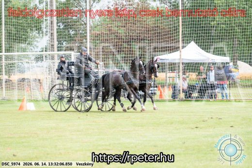 Mintakép 20260614-646