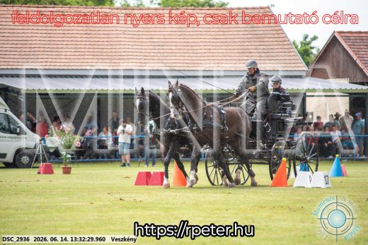 Mintakép 20260614-649