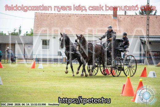 Mintakép 20260614-651