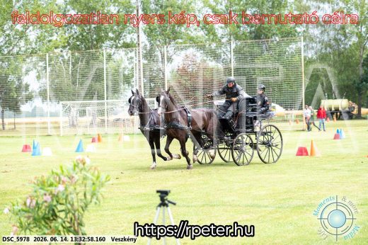 Mintakép 20260614-655
