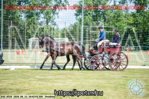 Mintakép 20260612-746