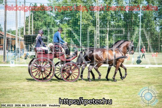 Mintakép 20260612-748