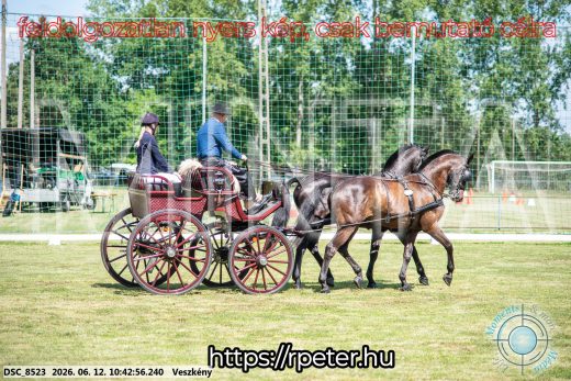 Mintakép 20260612-749