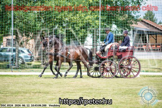 Mintakép 20260612-750