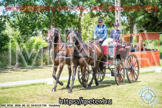 Mintakép 20260612-752