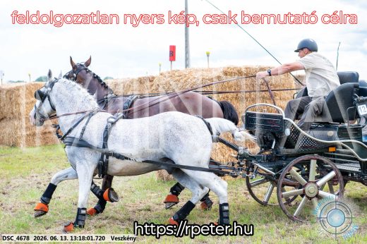 Mintakép 20260613-94