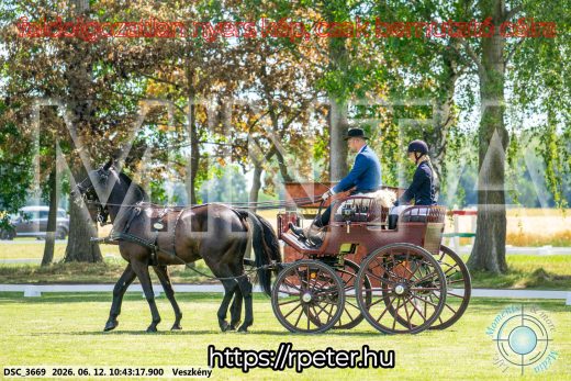 Mintakép 20260612-753