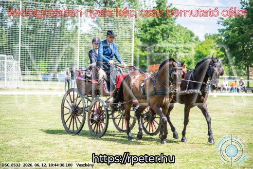 Mintakép 20260612-756