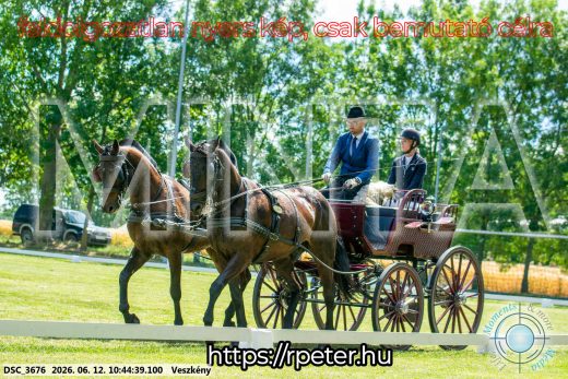Mintakép 20260612-757