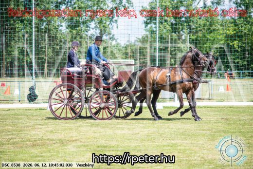 Mintakép 20260612-761