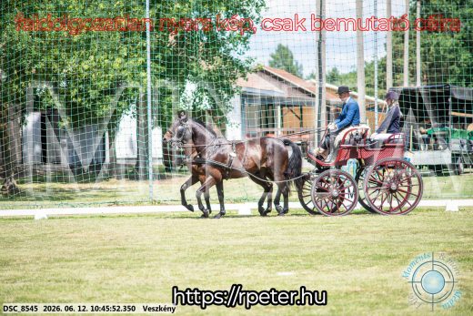 Mintakép 20260612-764