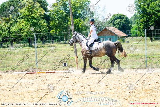 Mintakép 20260801-2429