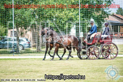 Mintakép 20260612-766