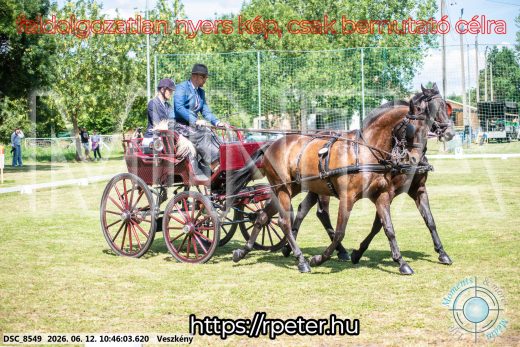 Mintakép 20260612-772
