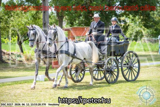 Mintakép 20260612-773