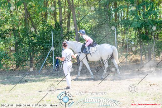 Mintakép 20260801-2522