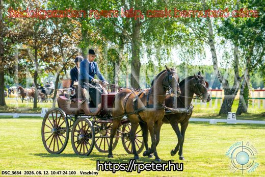 Mintakép 20260612-776
