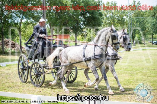 Mintakép 20260612-777