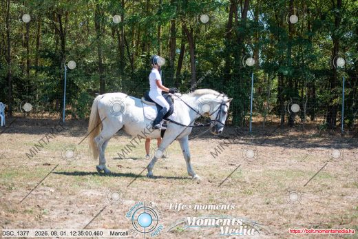 Mintakép 20260801-2548
