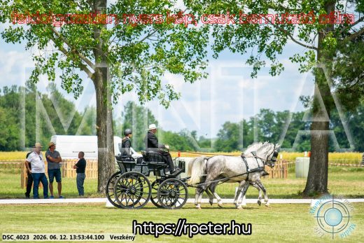 Mintakép 20260612-779