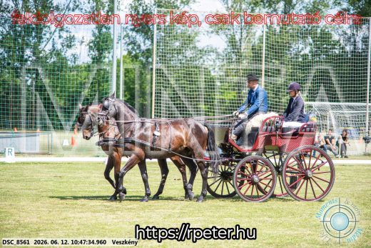 Mintakép 20260612-780
