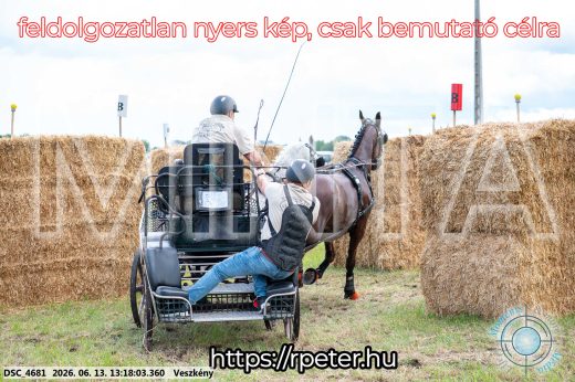 Mintakép 20260613-97