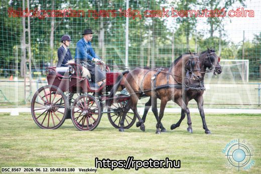 Mintakép 20260612-784